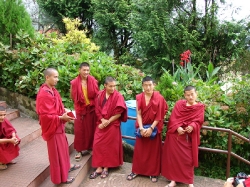 DSC00001